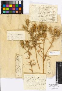 SW_BNB_s3010-17230_IMG-0000000001