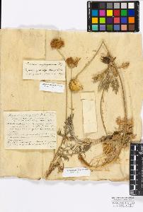 SW_BNB_s3010-17231_IMG-0000000001