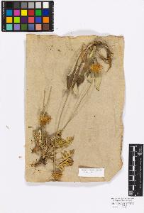 SW_BNB_s3010-17233_IMG-0000000001