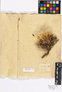 SW_BNB_s3010-17234_IMG-0000000001