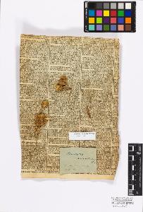 SW_BNB_s3010-17235_IMG-0000000001