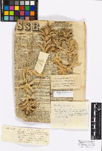 SW_BNB_s3010-17237_IMG-0000000001