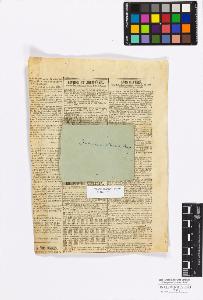 SW_BNB_s3010-17240_IMG-0000000001