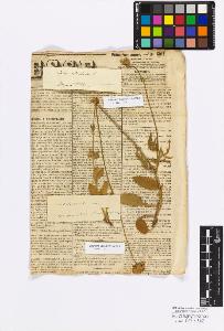 SW_BNB_s3010-17241_IMG-0000000001