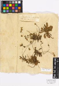 SW_BNB_s3010-17242_IMG-0000000001