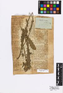 SW_BNB_s3010-17243_IMG-0000000001