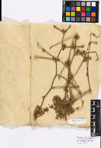 SW_BNB_s3010-17244_IMG-0000000001