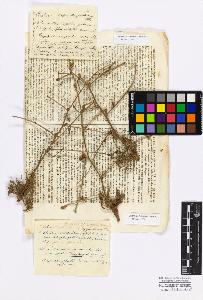 SW_BNB_s3010-17245_IMG-0000000001