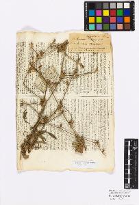 SW_BNB_s3010-17247_IMG-0000000001