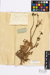 SW_BNB_s3010-17248_IMG-0000000001