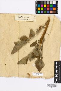 SW_BNB_s3010-17249_IMG-0000000001