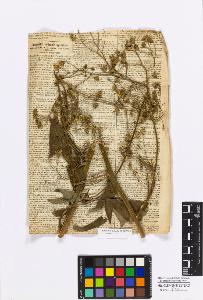 SW_BNB_s3010-17250_IMG-0000000001