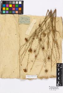 SW_BNB_s3010-17251_IMG-0000000001