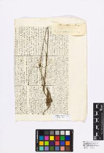 SW_BNB_s3010-17252_IMG-0000000001