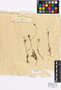 SW_BNB_s3010-17254_IMG-0000000001