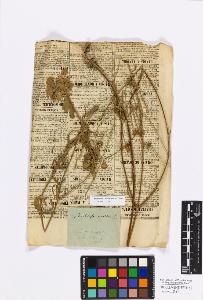 SW_BNB_s3010-17255_IMG-0000000001