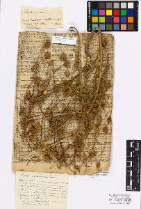 SW_BNB_s3010-17256_IMG-0000000001