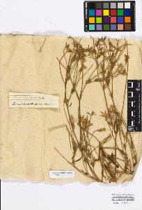 SW_BNB_s3010-17258_IMG-0000000001