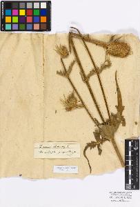 SW_BNB_s3010-17259_IMG-0000000001