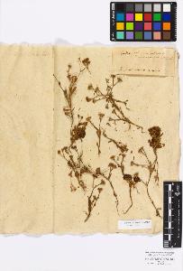 SW_BNB_s3010-17260_IMG-0000000001