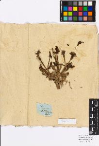 SW_BNB_s3010-17261_IMG-0000000001