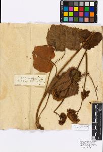 SW_BNB_s3010-17262_IMG-0000000001