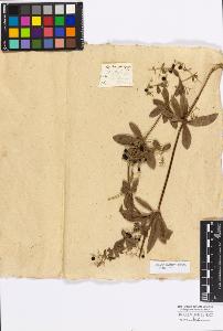 SW_BNB_s3010-17263_IMG-0000000001