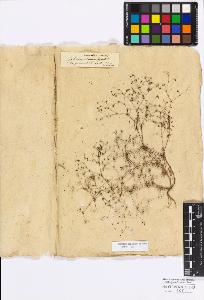 SW_BNB_s3010-17264_IMG-0000000001