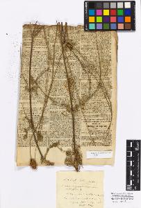 SW_BNB_s3010-17265_IMG-0000000001