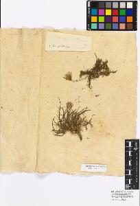 SW_BNB_s3010-17266_IMG-0000000001