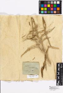 SW_BNB_s3010-17267_IMG-0000000001