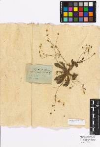 SW_BNB_s3010-17268_IMG-0000000001