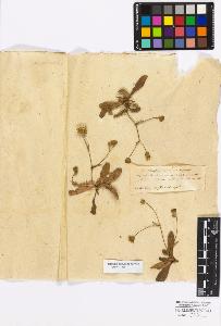 SW_BNB_s3010-17269_IMG-0000000001