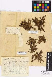 SW_BNB_s3010-17270_IMG-0000000001