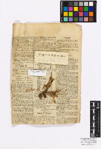 SW_BNB_s3010-17272_IMG-0000000001