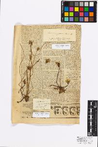 SW_BNB_s3010-17274_IMG-0000000001