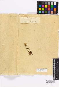 SW_BNB_s3010-17276_IMG-0000000001