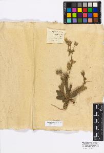 SW_BNB_s3010-17277_IMG-0000000001