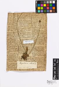 SW_BNB_s3010-17278_IMG-0000000001