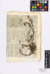 SW_BNB_s3010-17279_IMG-0000000001