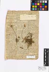 SW_BNB_s3010-17280_IMG-0000000001