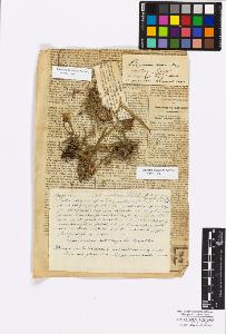 SW_BNB_s3010-17282_IMG-0000000001