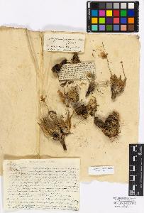 SW_BNB_s3010-17283_IMG-0000000001