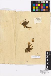 SW_BNB_s3010-17284_IMG-0000000001