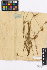 SW_BNB_s3010-17285_IMG-0000000001