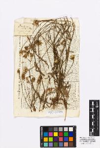 SW_BNB_s3010-17286_IMG-0000000001