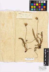 SW_BNB_s3010-17287_IMG-0000000001