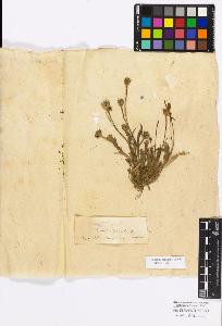 SW_BNB_s3010-17288_IMG-0000000001