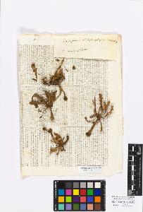 SW_BNB_s3010-17289_IMG-0000000001