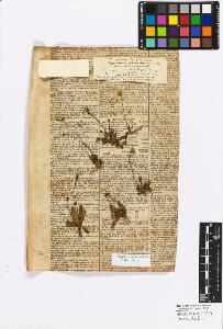 SW_BNB_s3010-17290_IMG-0000000001